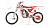 Мотоцикл кроссовый / эндуро MotoLand (Мотолэнд) WRX450 NC (190MQ)
