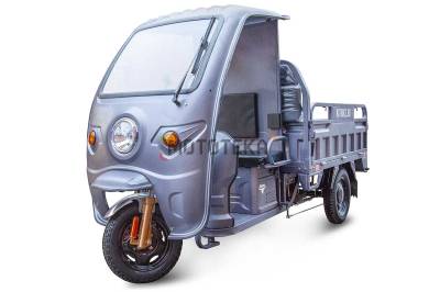 Грузовой электротрицикл Rutrike (Рутрайк) Глобус 1500 60V/1000W