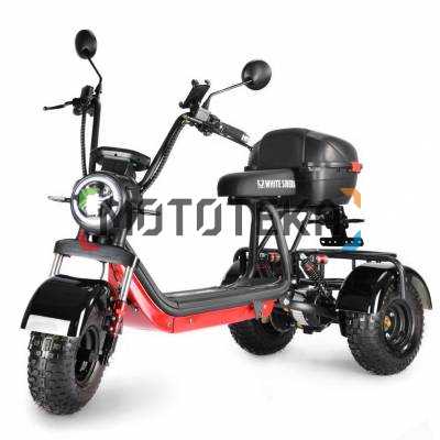 Электротрицикл White Siberia (Белая Сибирь) TRIKE MINI BLACK 1500W