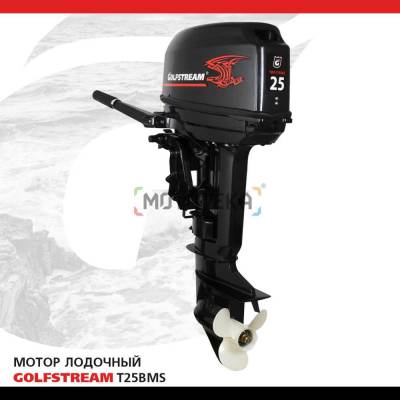 Лодочный мотор GOLFSTREAM (Гольфстрим) T25BMS