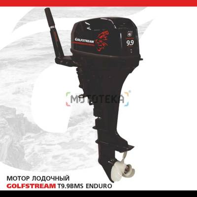 Лодочный мотор GOLFSTREAM (Гольфстрим) TE9.9BMS Enduro