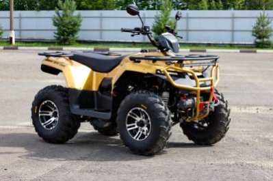 Квадроцикл IRBIS (Ирбис) ATV 200 Premium 2024 зелёный с ПСМ