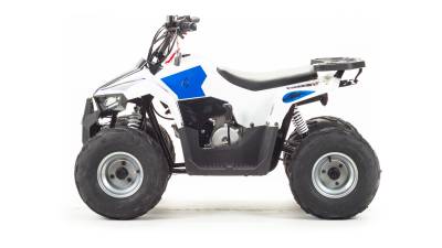 Квадроцикл детский MotoLand (Мотолэнд) VOX110 EAGLE (машинокомплект)