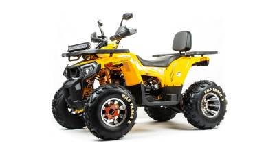 Квадроцикл MotoLand (Мотолэнд) VOX200 WILD TRACK X PRO (баланс. вал) (машинокомплект)