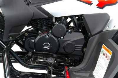 Квадроцикл MotoLand (Мотолэнд) VOX250 RALLY (машинокомплект) - купить с доставкой, цены в интернет-магазине Мототека