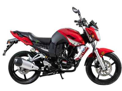 Мотоцикл дорожный Racer (Рейсер) RC250CK NITRO красный с ПТС - купить с доставкой, по выгодной цене в интернет-магазине Мототека