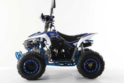 Квадроцикл детский Motax (Мотакс) ATV Mikro 110 белый/синий (машинокомплект) - купить с доставкой, цены в интернет-магазине Мототека