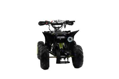 Квадроцикл детский MotoLand (Мотолэнд) VOX110 RAPTOR A (машинокомплект) - купить с доставкой, цены в интернет-магазине Мототека