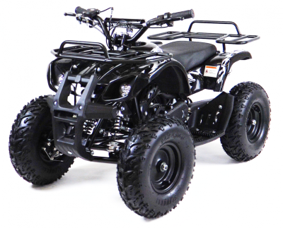 Квадроцикл детский Motax (Мотакс) ATV Mini Grizlik X - 16 [мех] Big Wheel (машинокомплект) - купить с доставкой, цены в интернет-магазине Мототека