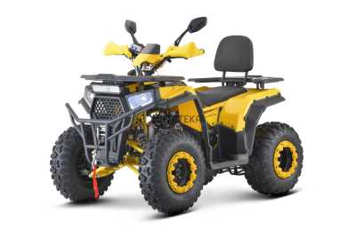Квадроцикл FXMOTO (ФХмото) WASP 200 жёлтый (машинокомплект) - купить с доставкой, цены в интернет-магазине Мототека