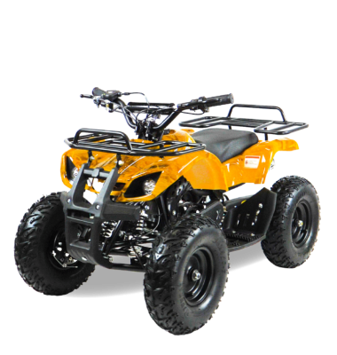 Квадроцикл детский Motax (Мотакс) ATV Mini Grizlik X - 16 [эл. ст.] Big Wheel (машинокомплект) - купить с доставкой, цены в интернет-магазине Мототека