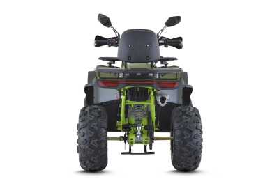 Квадроцикл FXMOTO (ФХМото) WASP 200 LUX зелёный (машинокомплект) - купить с доставкой, цены в интернет-магазине Мототека