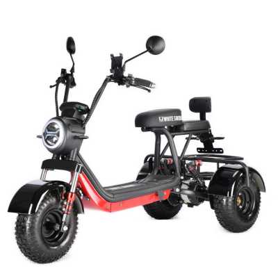 Электротрицикл White Siberia (Белая Сибирь) TRIKE MINI BLACK 1500W | Мототека