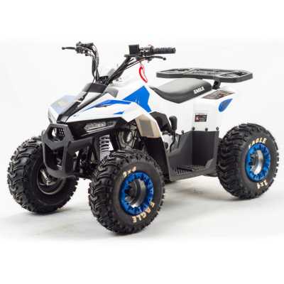 Квадроцикл детский MotoLand (Мотолэнд) VOX110 EAGLE (машинокомплект) - купить с доставкой, цены в интернет-магазине Мототека