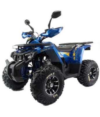 Квадроцикл детский MotoLand (Мотолэнд) VOX125 WILD X PRO А синий (машинокомплект) - купить с доставкой, цены в интернет-магазине Мототека