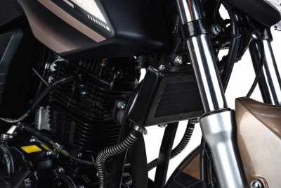 Мотоцикл дорожный MotoLand (Мотолэнд) 300 BANDIT с ПТС - купить с доставкой, по выгодной цене в интернет-магазине Мототека