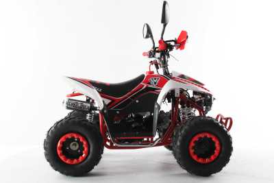 Квадроцикл детский Motax (Мотакс) ATV Mikro 110 белый/красный (машинокомплект) - купить с доставкой, цены в интернет-магазине Мототека