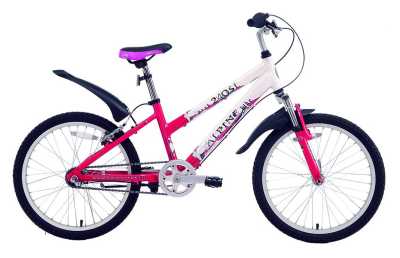 Велосипед детский Alpinebike (Альпинбайк) 240SL - купить с доставкой, по выгодной цене в интернет-магазине Мототека