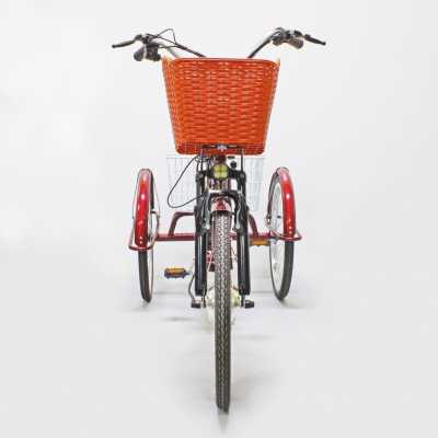 Электровелосипед GreenCamel (ГринКэмел) Трайк-24 (R24 500W 48V 15Ah) Красный