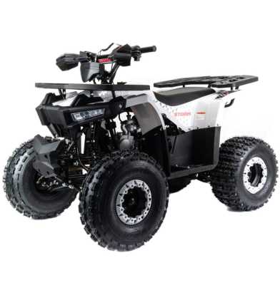 Квадроцикл детский MotoLand (Мотолэнд) VOX125 STORM (машинокомплект) - купить с доставкой, цены в интернет-магазине Мототека