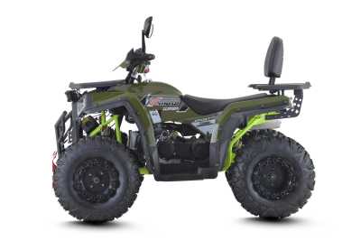 Квадроцикл FXMOTO (ФХМото) WASP 200 LUX зелёный (машинокомплект) - купить с доставкой, цены в интернет-магазине Мототека