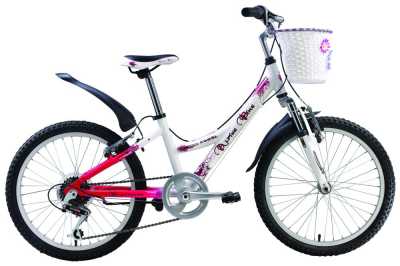 Велосипед детский Alpinebike (Альпинбайк) 250SL - купить с доставкой, по выгодной цене в интернет-магазине Мототека