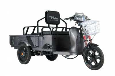 Грузопассажирский трицикл Rutrike (Рутрайк) D1 ГП 1200 60V900W | Мототека