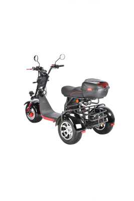 Электротрицикл White Siberia (Белая Сибирь) PRO TRIKE 3000W BLACK | Мототека