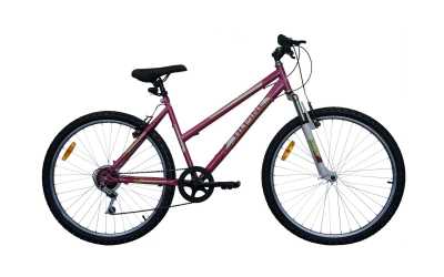 Велосипед горный Alpinebike (Альпинбайк) BASIC 26 LADY - купить с доставкой, по выгодной цене в интернет-магазине Мототека