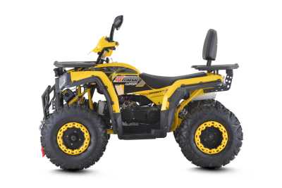 Квадроцикл FXMOTO (ФХМото) WASP 200 LUX жёлтый (машинокомплект) - купить с доставкой, цены в интернет-магазине Мототека