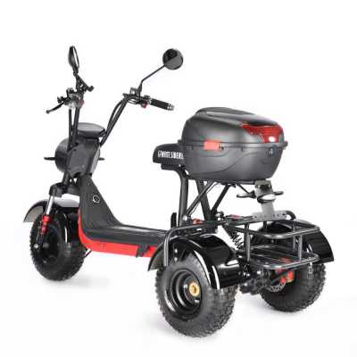 Электротрицикл White Siberia (Белая Сибирь) TRIKE MINI BLACK 1500W | Мототека