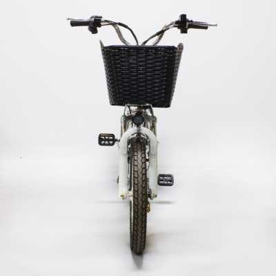 Электровелосипед GreenCamel (ГринКэмел) Транк - 18 - 60 (R18 350W 60V 10Ah) Алюм
