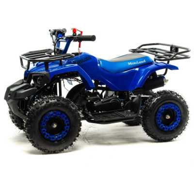 Квадроцикл детский MotoLand (Мотолэнд) VOX50 SCORPION синий (машинокомплект) - купить с доставкой, цены в интернет-магазине Мототека