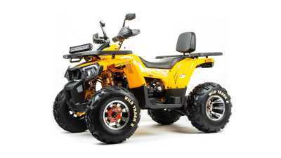 Квадроцикл MotoLand (Мотолэнд) VOX200 WILD TRACK X PRO (баланс. вал) (машинокомплект) - купить с доставкой, цены в интернет-магазине Мототека